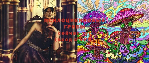 индика Михайловск