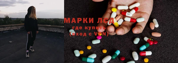 стафф Нефтекумск