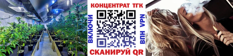 кракен сайт  Власиха  ТГК Wax  закладка 