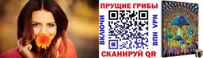 Галлюциногенные грибы Cubensis Власиха