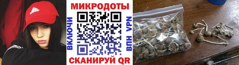 Галлюциногенные грибы мухоморы  darknet формула  Власиха 